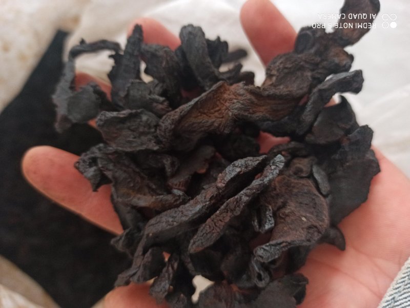 黄精鸡头黄精制黄精炙黄精九炙黄精