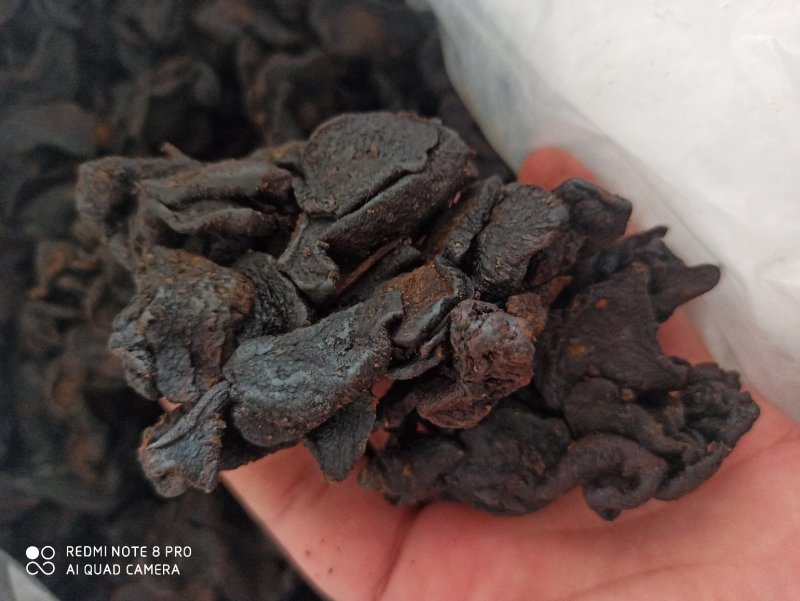 黄精鸡头黄精制黄精炙黄精九炙黄精