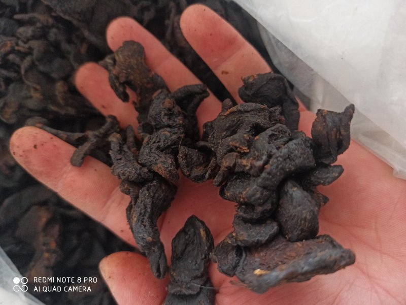 黄精鸡头黄精制黄精炙黄精九炙黄精