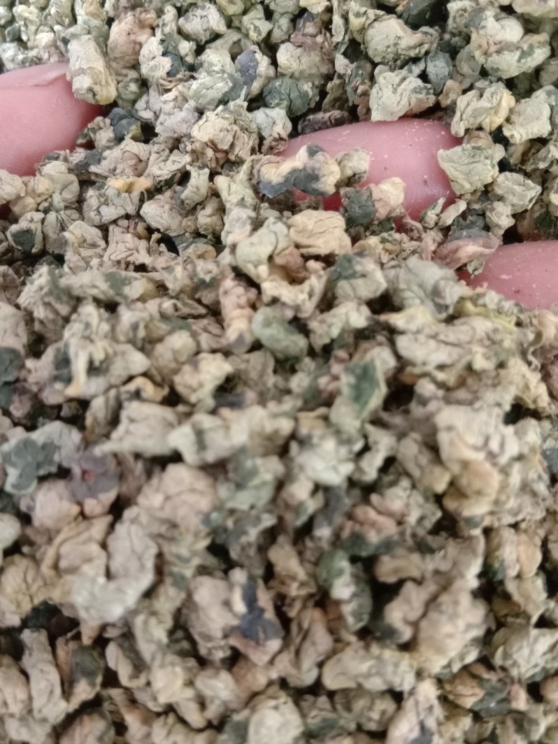 荷叶茶，批发各种花茶，规格齐全！