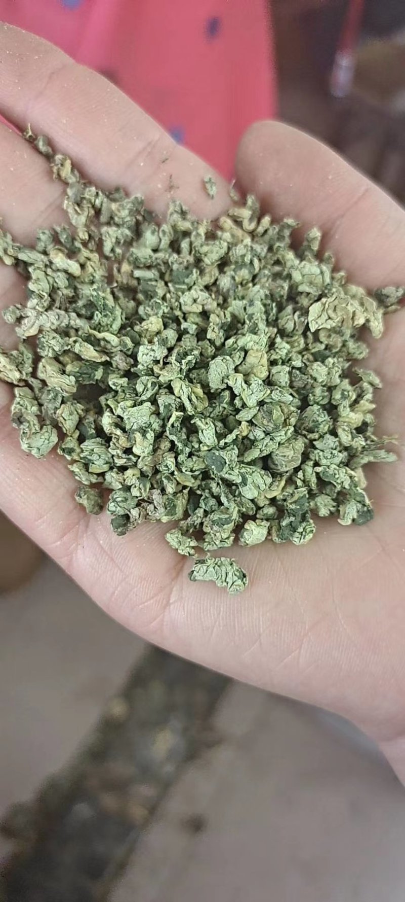 荷叶茶，批发各种花茶，规格齐全！