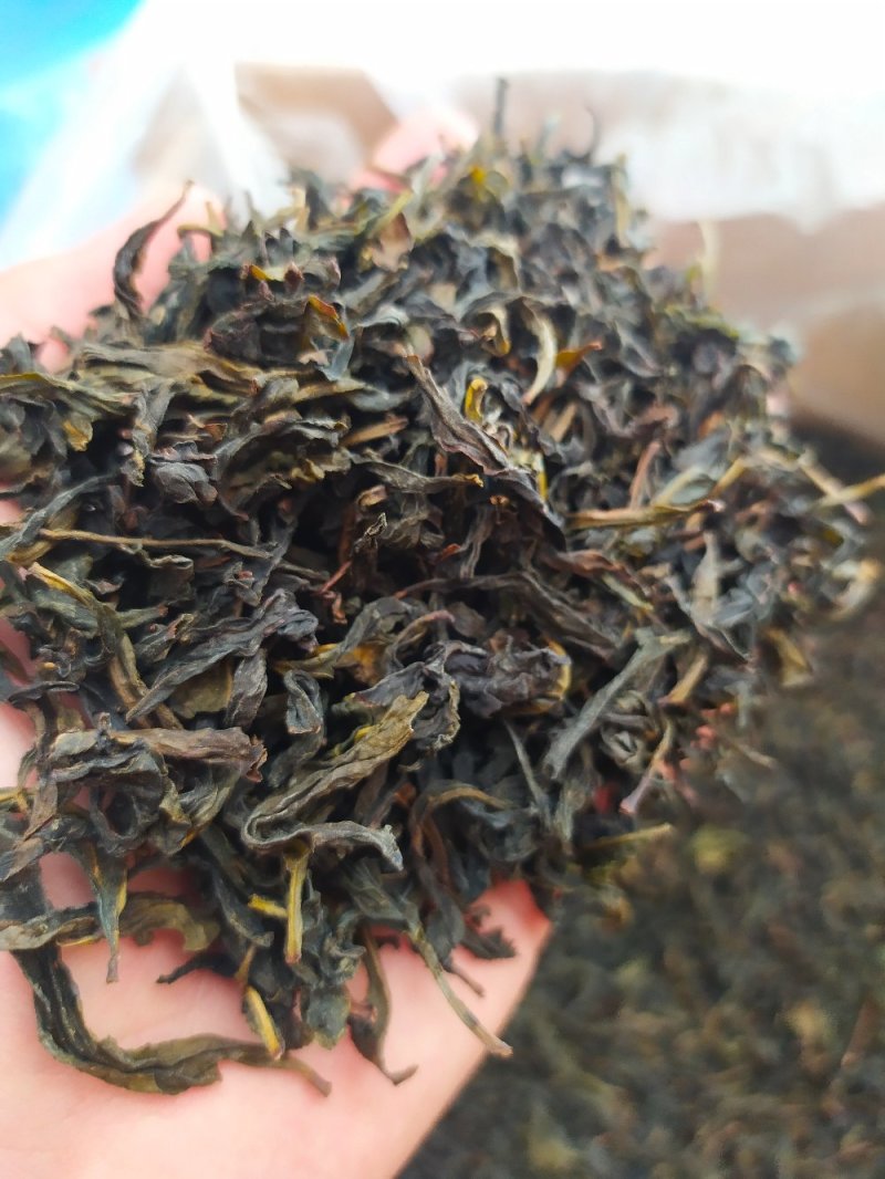 黄枝香单枞茶潮州凤凰单枞茶高山茶叶乌叶单枞茶1斤1袋