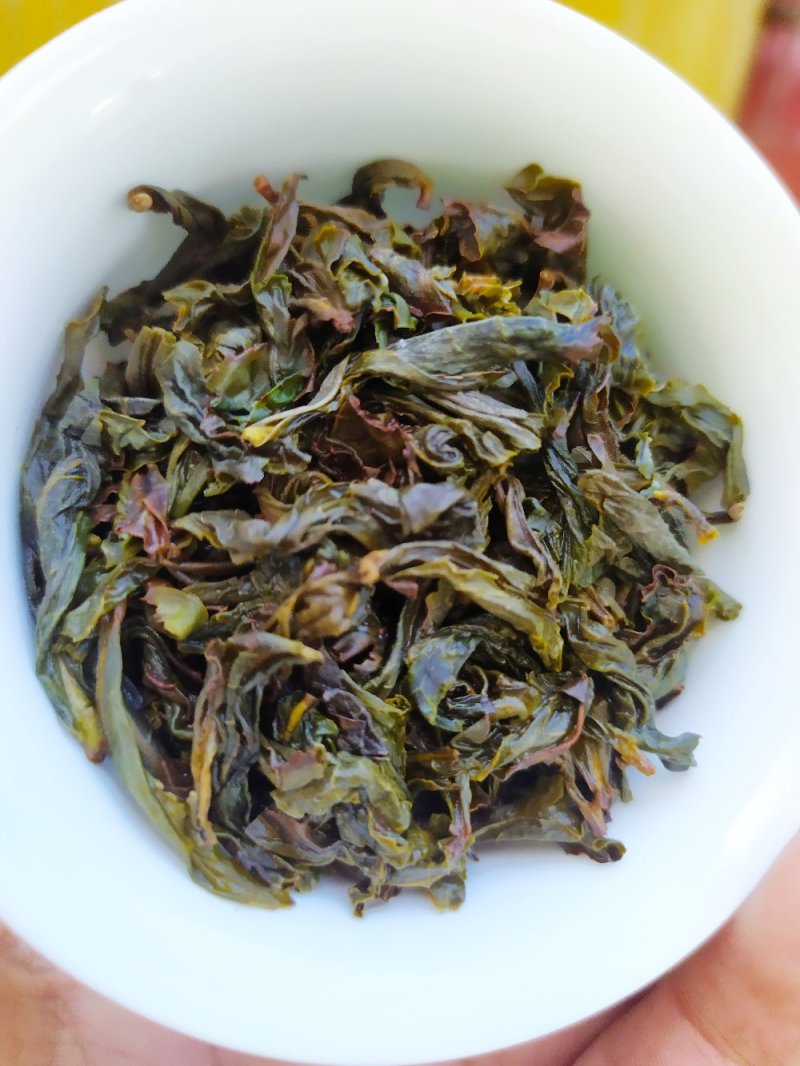 黄枝香单枞茶潮州凤凰单枞茶高山茶叶乌叶单枞茶1斤1袋