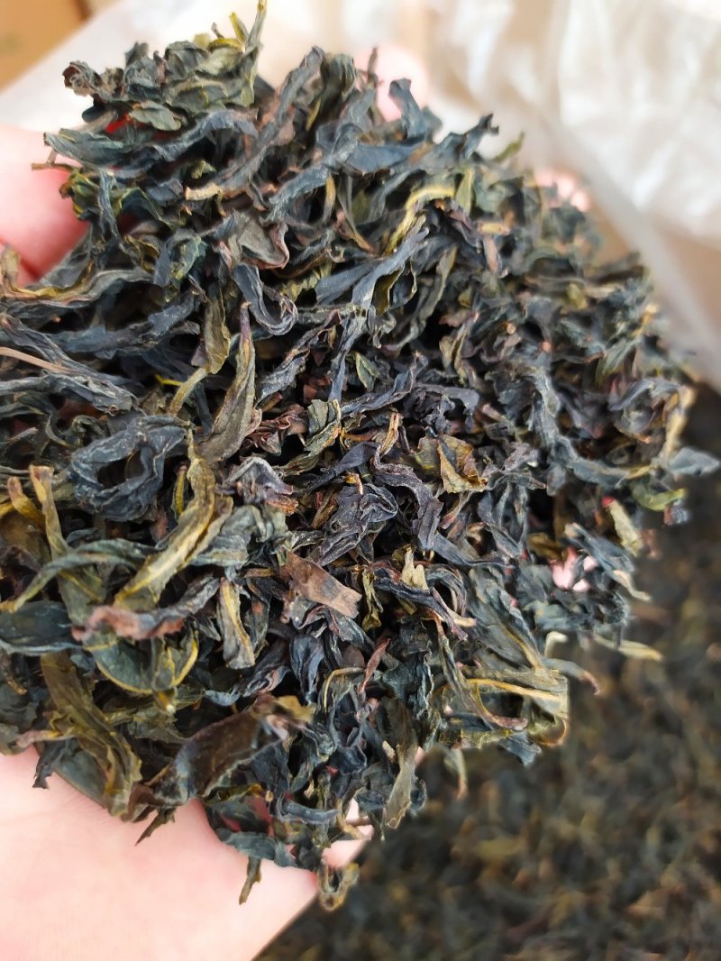 黄枝香单枞茶潮州凤凰单枞茶高山茶叶乌叶单枞茶1斤1袋