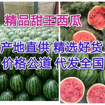 甜王西瓜14起步8成半熟包熟包甜产地直供可代发全国