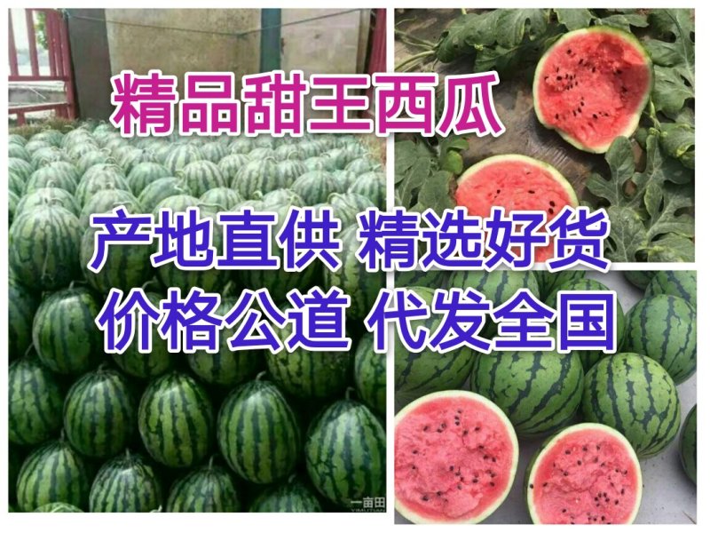 甜王西瓜14起步8成半熟包熟包甜产地直供可代发全国