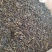 黄枝香单枞茶潮州凤凰单枞茶高山茶叶乌叶单枞茶1斤1袋