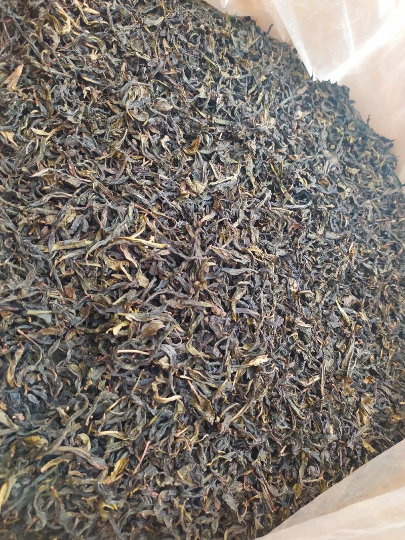 黄枝香单枞茶潮州凤凰单枞茶高山茶叶乌叶单枞茶1斤1袋