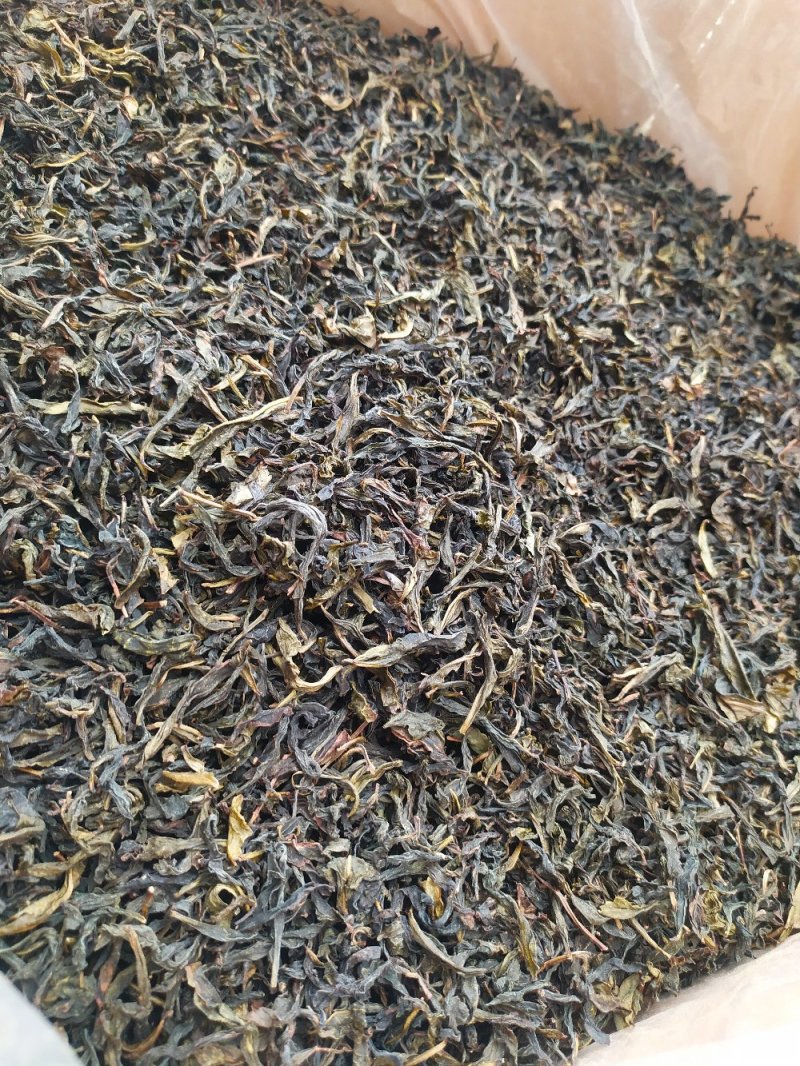 黄枝香单枞茶潮州凤凰单枞茶高山茶叶乌叶单枞茶1斤1袋