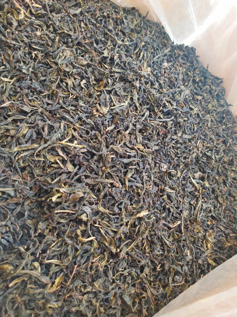 黄枝香单枞茶潮州凤凰单枞茶高山茶叶乌叶单枞茶1斤1袋