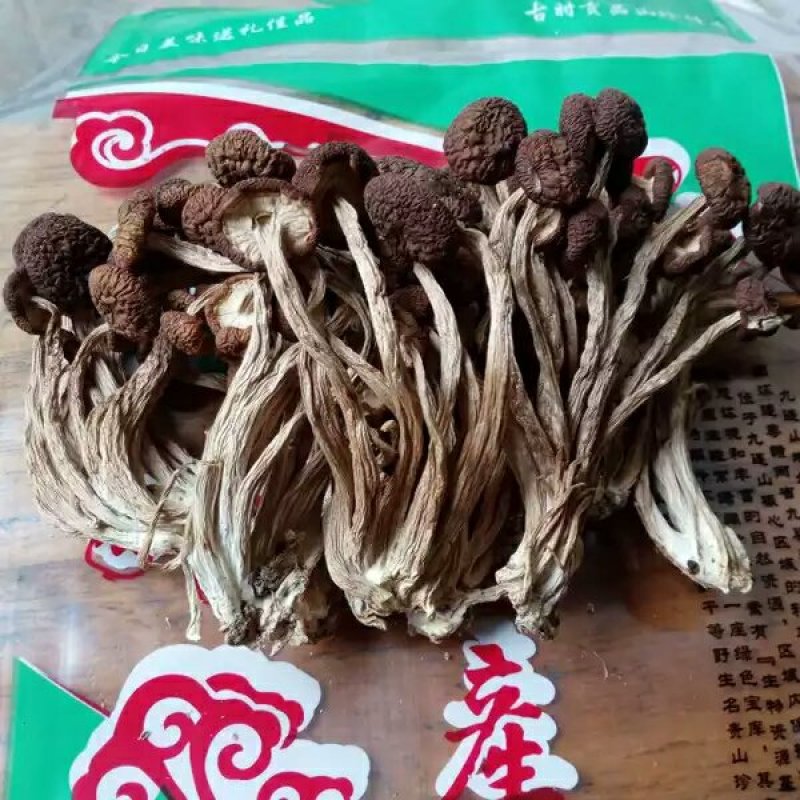 广东河源茶树菇，10斤一箱大量批发零售优惠…………