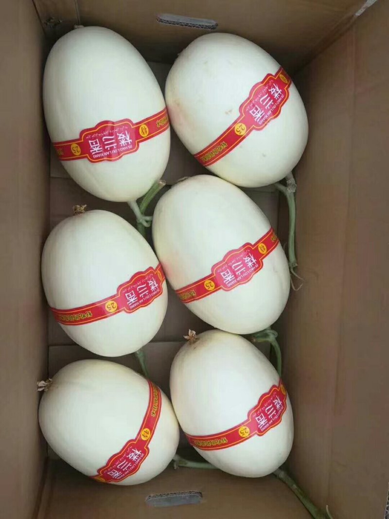 西州蜜瓜2斤以上长圆形