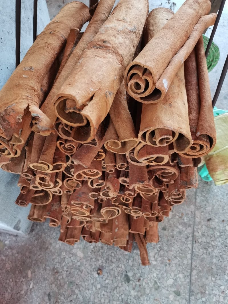 广西桂皮陈桂桂通产地直销无硫无添加