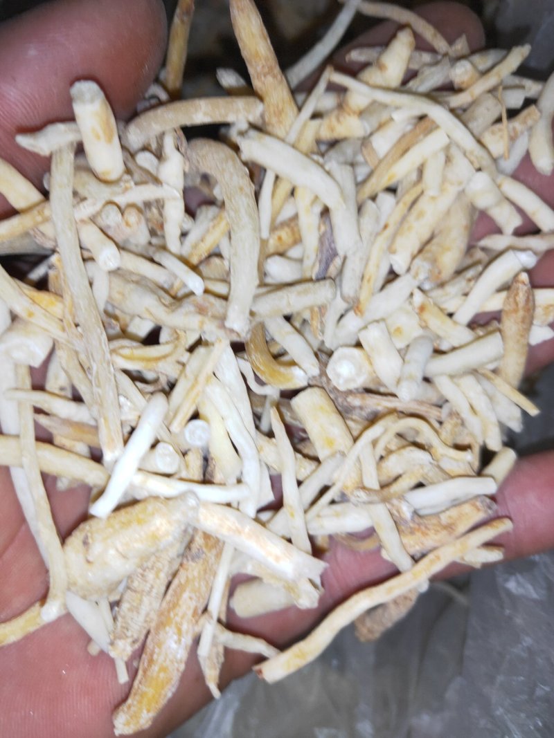 纯干新货明党参产地纯正货好无硫货欢迎下单