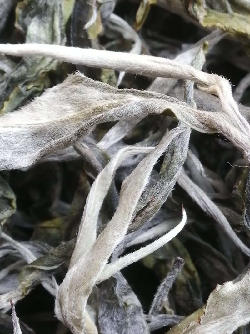 布朗山茶区自家茶源