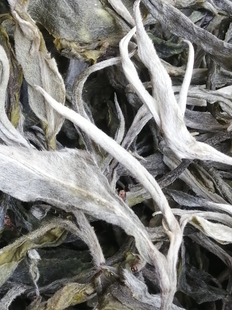 布朗山茶区自家茶源