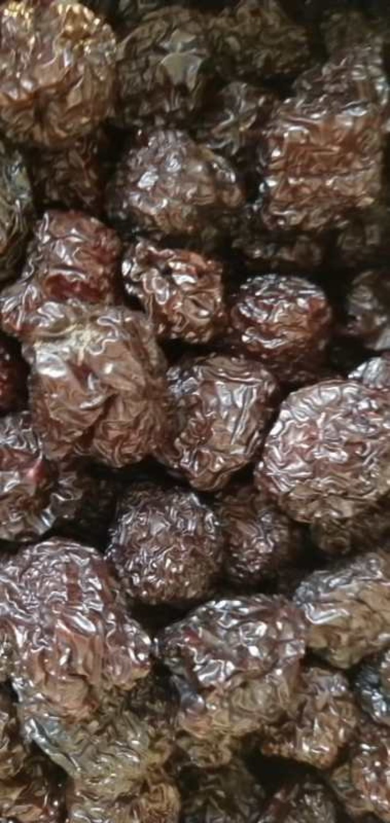 【新品推荐】特产紫晶乌枣黑枣厂家直批规格全价格实惠