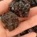 【新品推荐】特产紫晶乌枣黑枣厂家直批规格全价格实惠