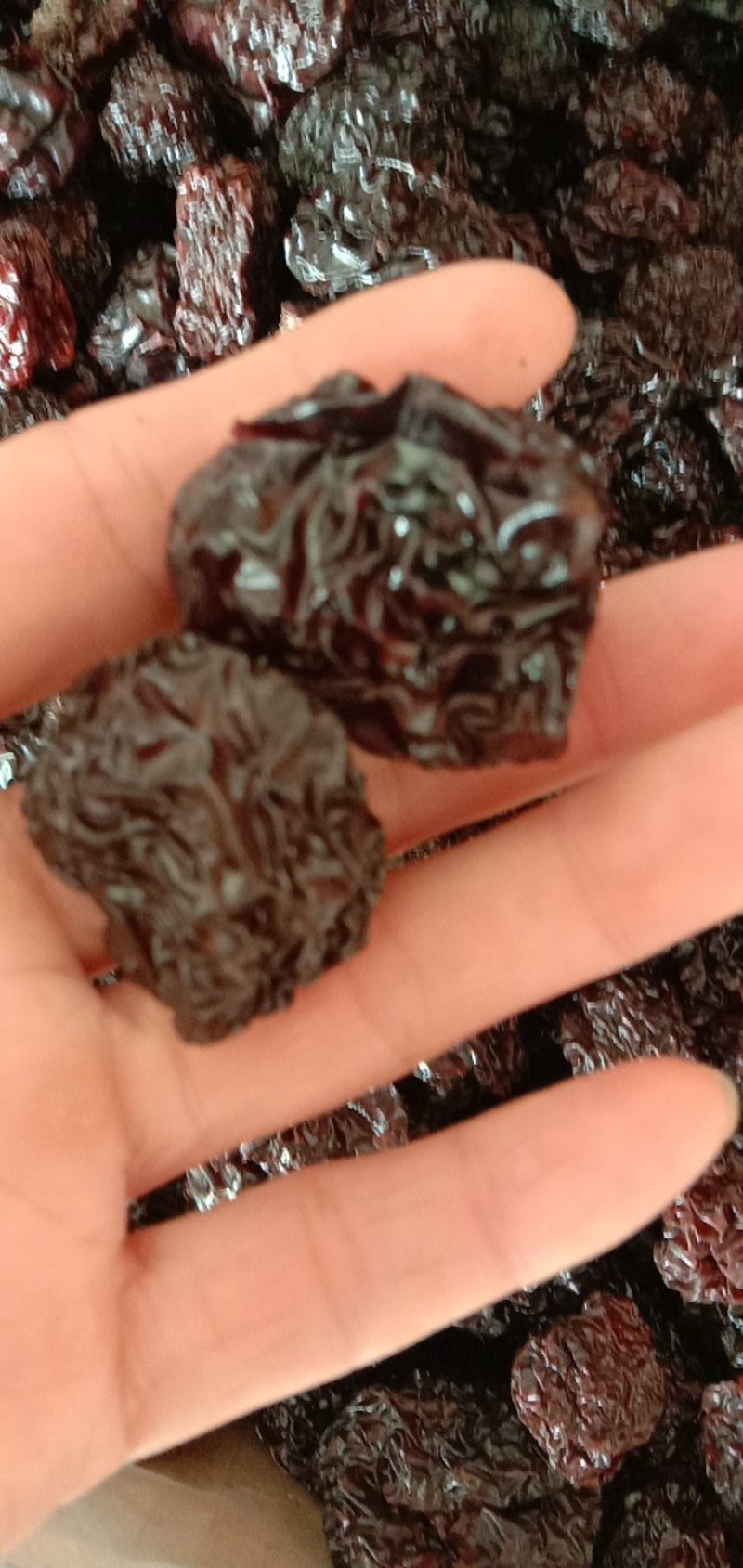 【新品推荐】特产紫晶乌枣黑枣厂家直批规格全价格实惠