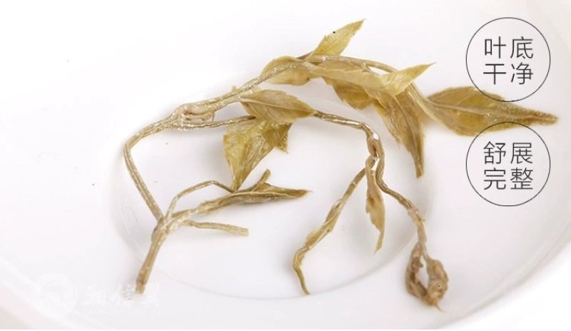 来凤县道河藤茶