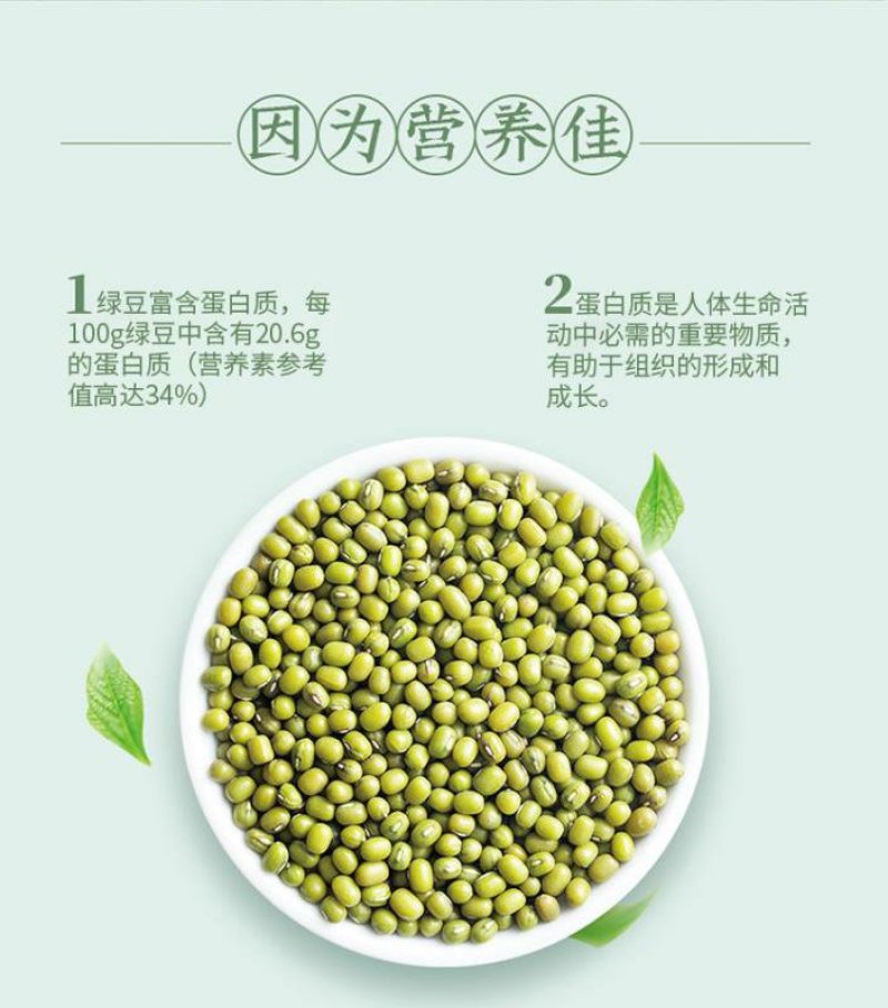 德保绿豆健康美味
