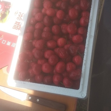 山西绛县樱桃