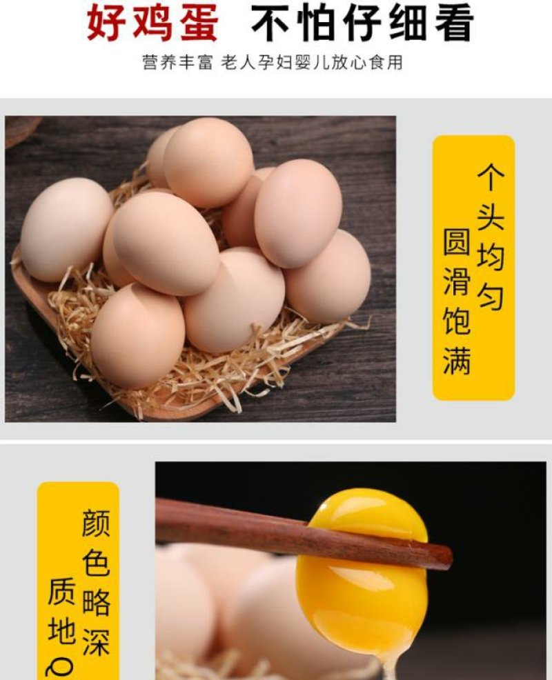 德保贝贝康鲜鸡蛋农家散养