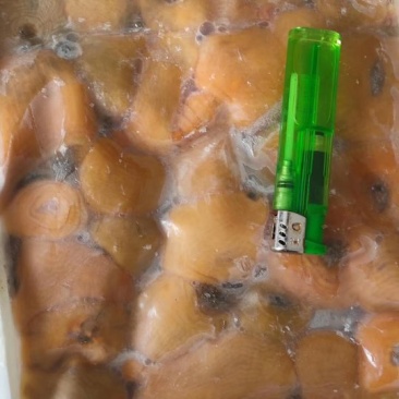 活冻海葵，量大的来。。。