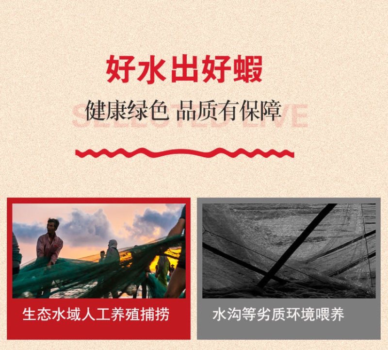 特级小龙虾尾