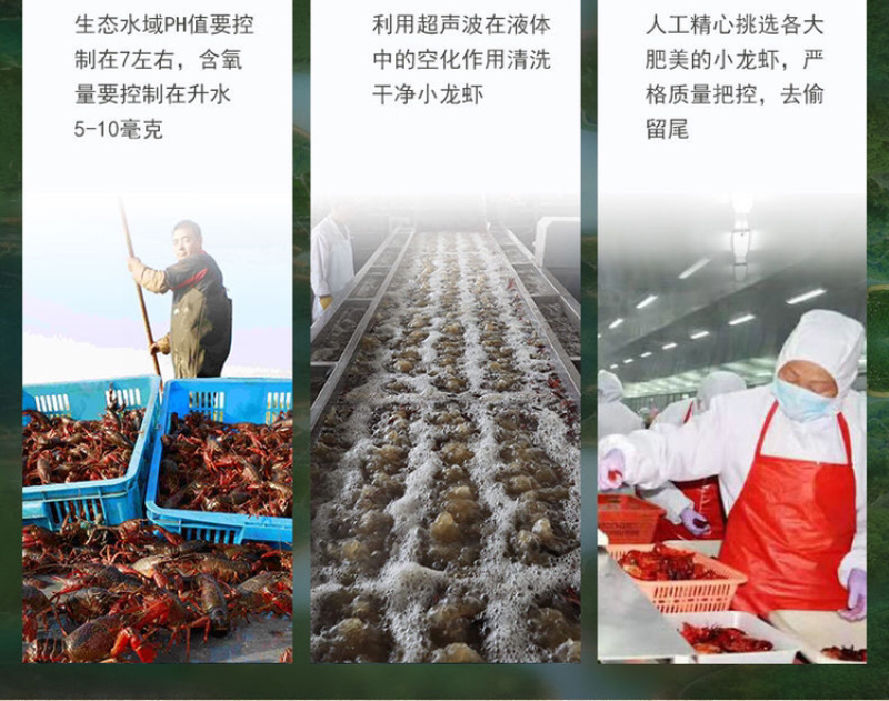 特级小龙虾尾