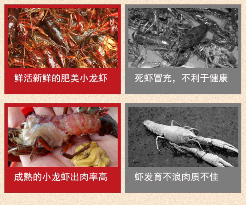 特级小龙虾尾