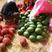 早春红玉西瓜2K西瓜3-4斤品质保证全国各地代发