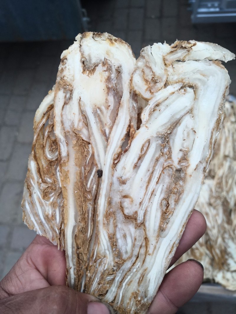 甘肃岷县原产地无硫当归头，当归头片，量大优惠，