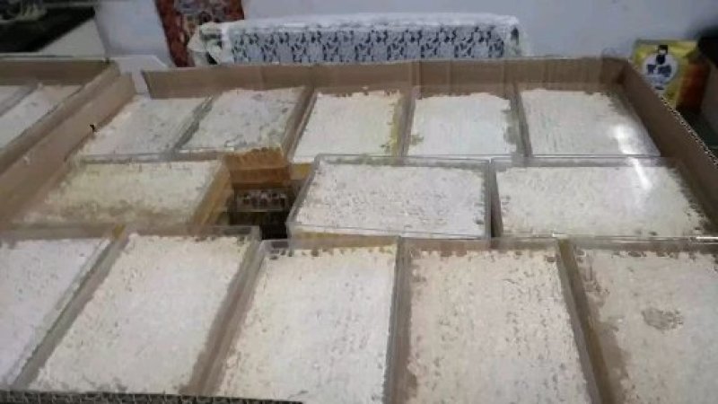 高封盖蜂巢蜜2023新品蜂场现货供应