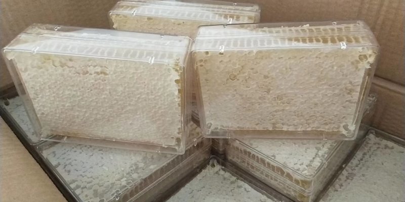 高封盖蜂巢蜜2023新品蜂场现货供应