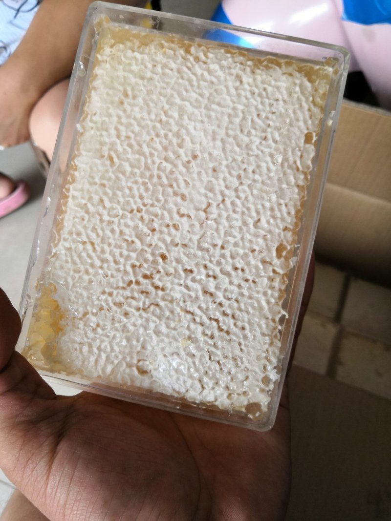 高封盖蜂巢蜜2023新品蜂场现货供应