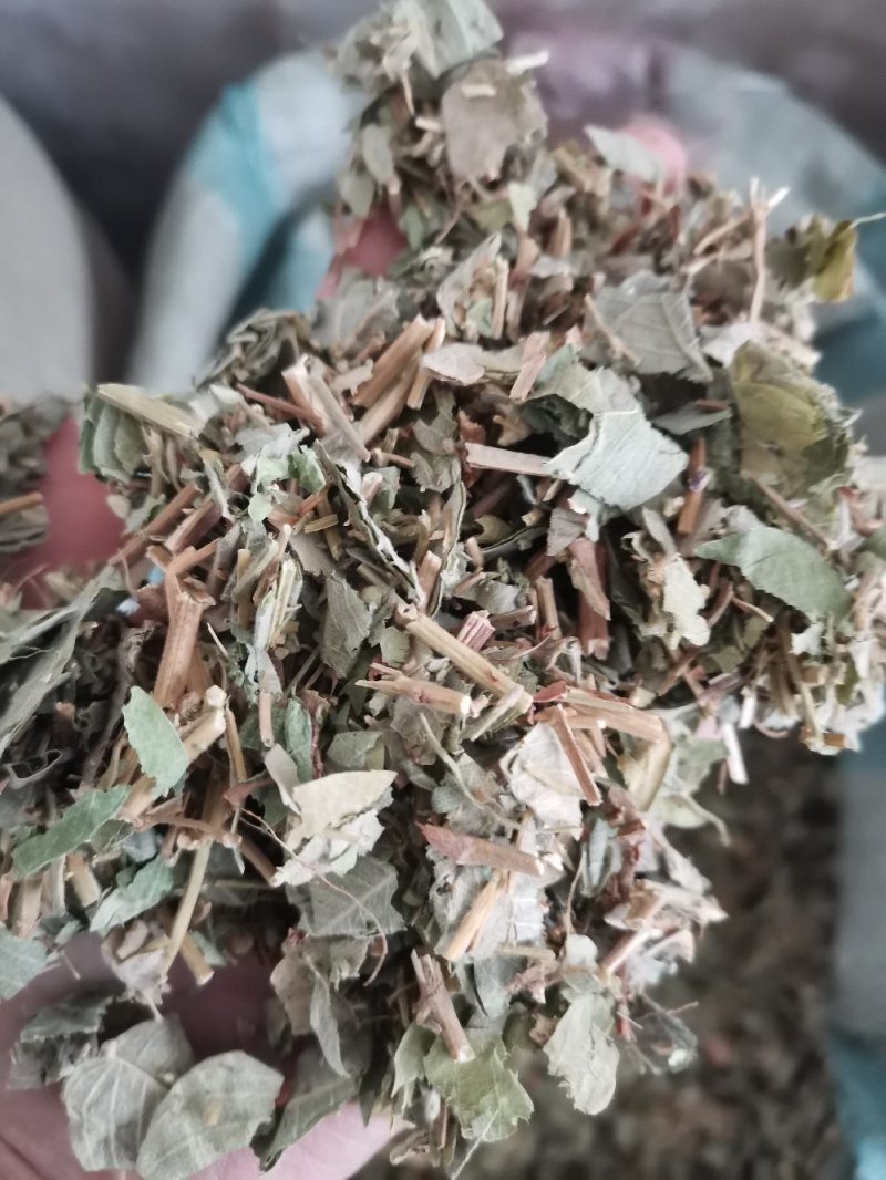 中药材广金钱草大叶天然无硫熏一公斤起包邮