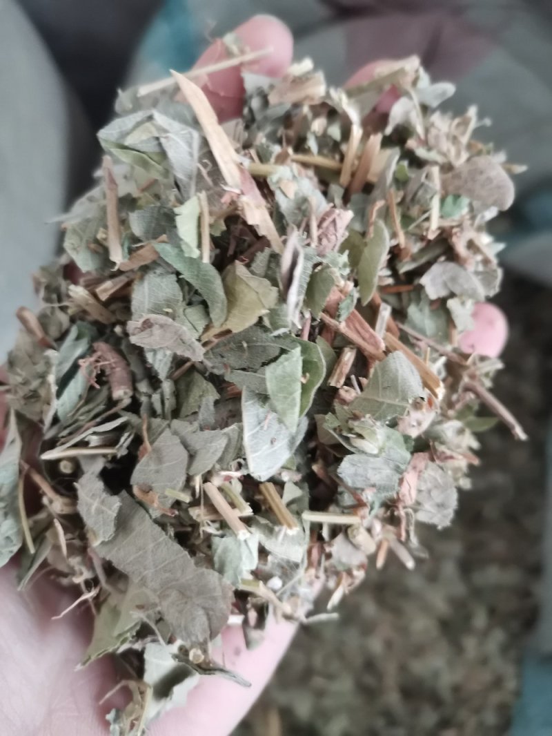 中药材广金钱草大叶天然无硫熏一公斤起包邮
