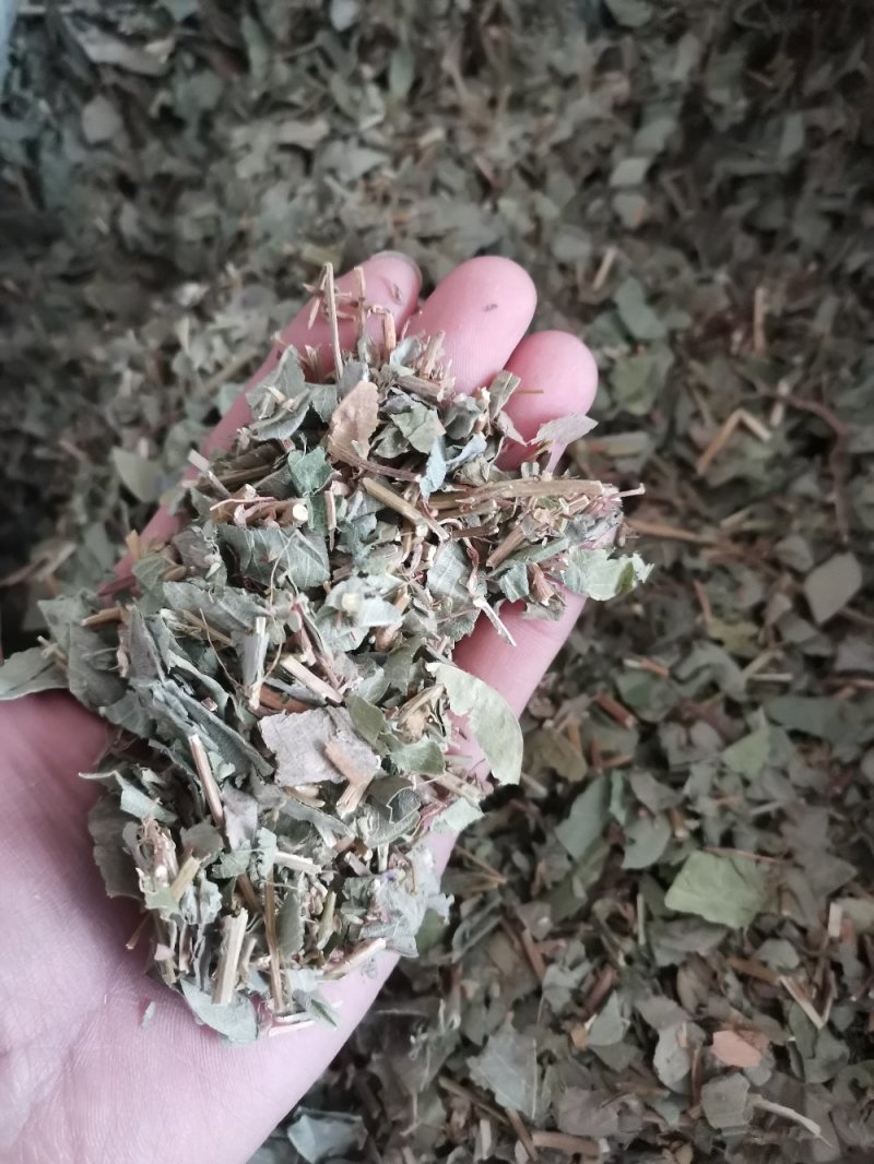 中药材广金钱草大叶天然无硫熏一公斤起包邮