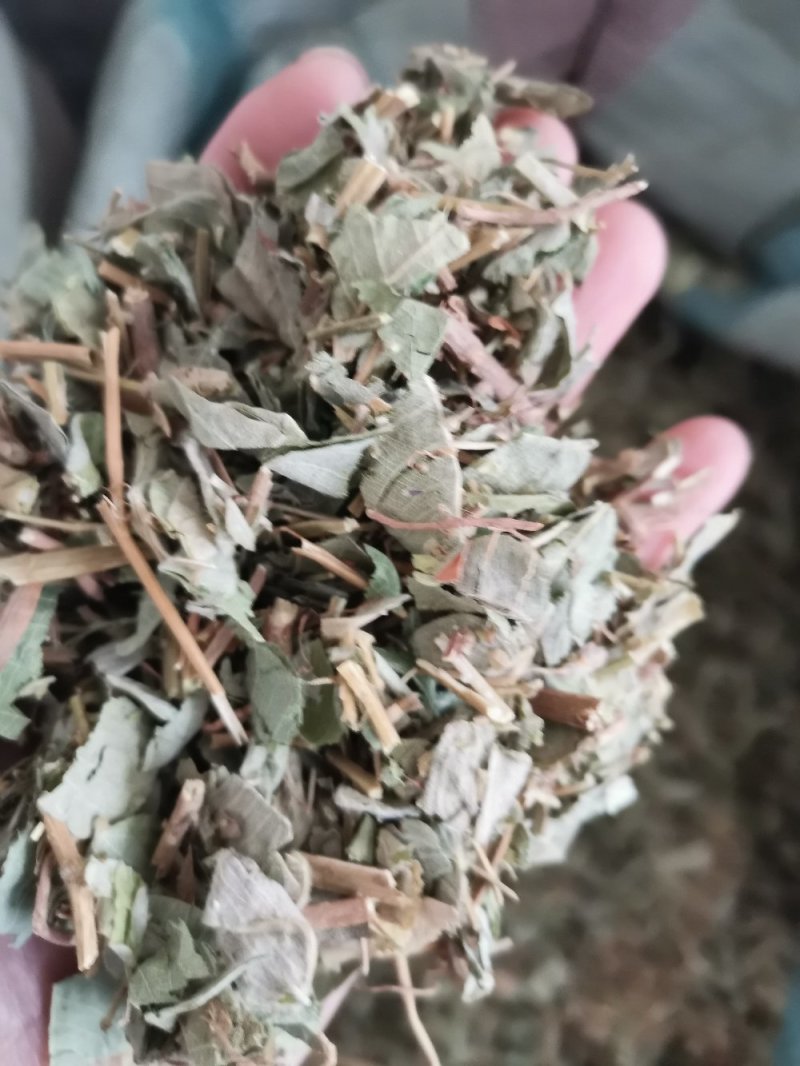 中药材广金钱草大叶天然无硫熏一公斤起包邮