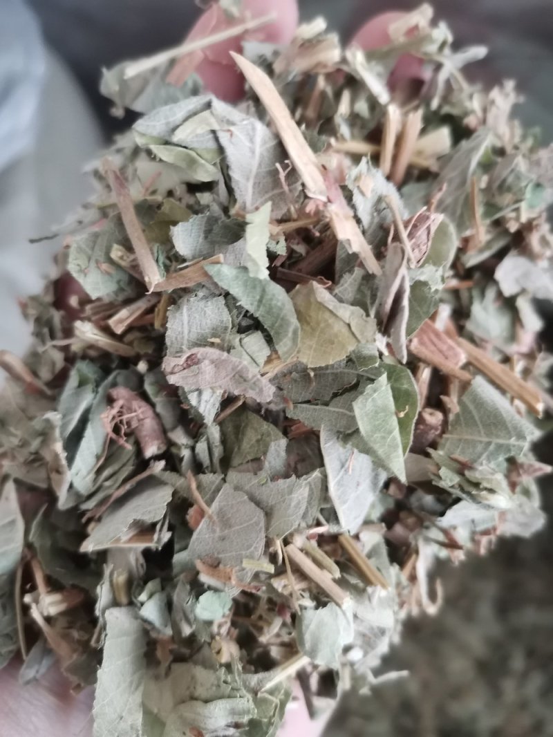 中药材广金钱草大叶天然无硫熏一公斤起包邮