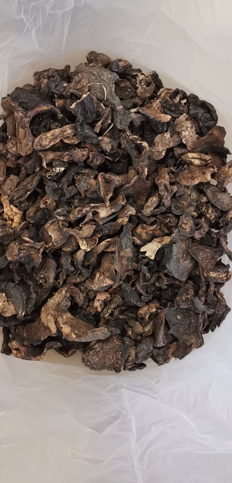 虎掌菌纯野生虎掌菌一首货源专注精品