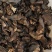 虎掌菌纯野生虎掌菌一首货源专注精品