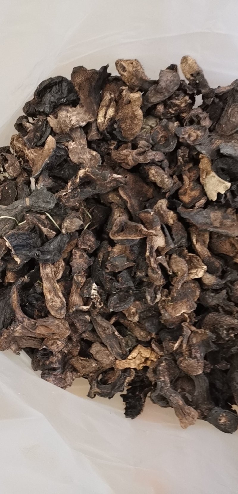 虎掌菌纯野生虎掌菌一首货源专注精品