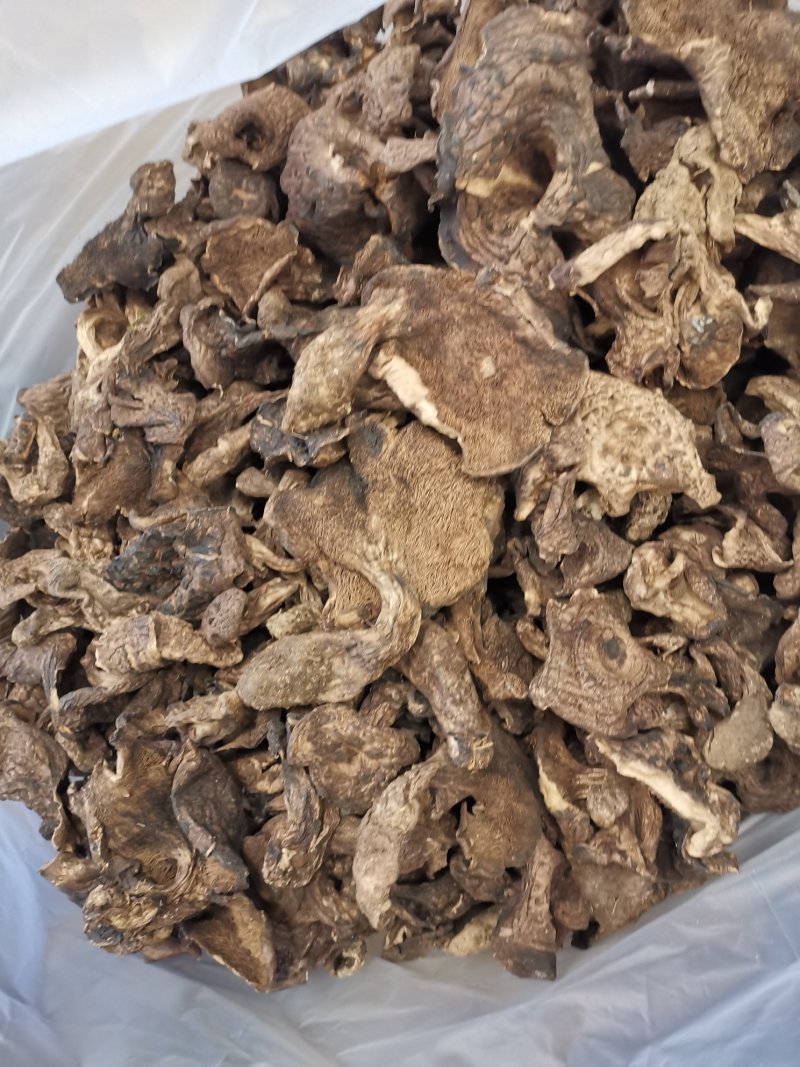 虎掌菌黑虎掌干虎掌菌专注精品