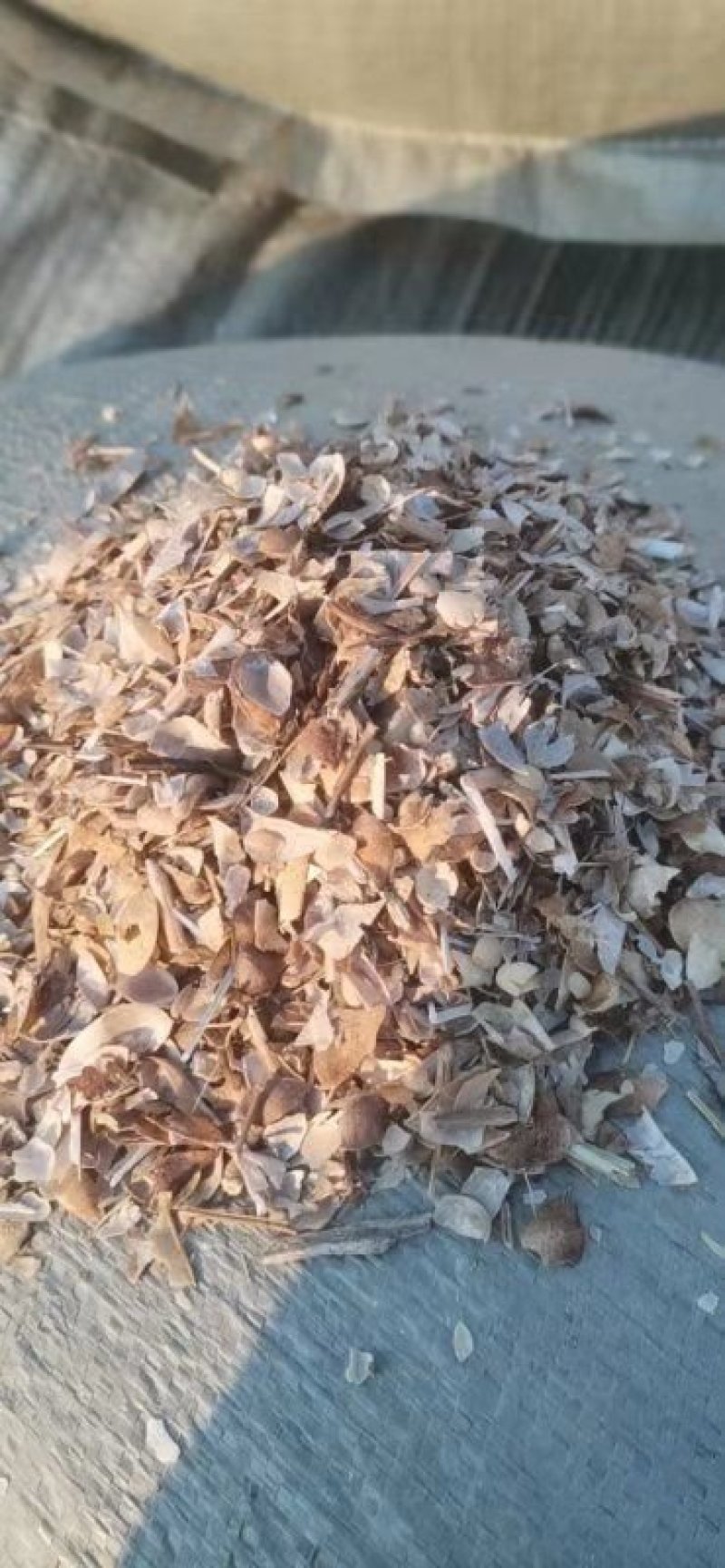 产地直发优质精选黄豆荚畜牧养殖牛羊驴马饲养送货上门