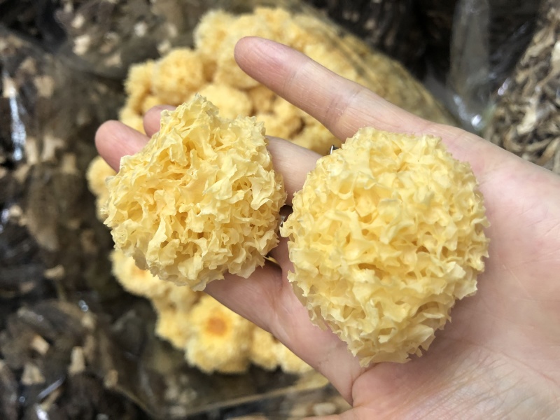 椴木银耳