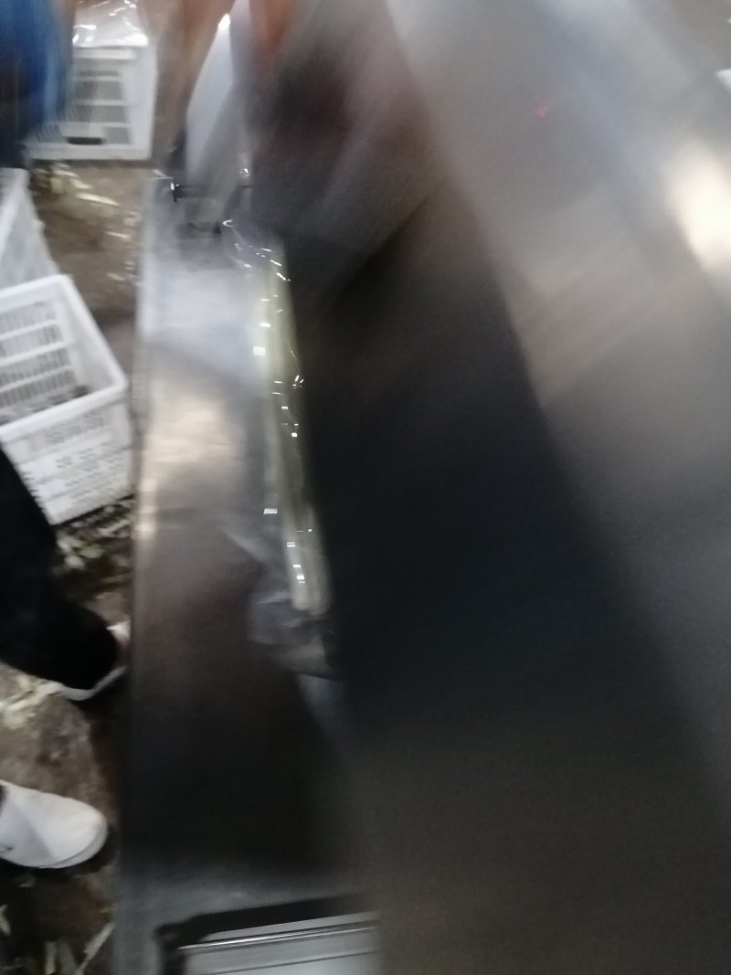 真空包装蒲菜批发