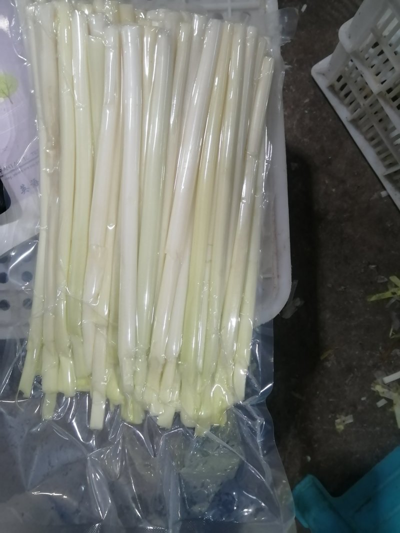真空包装蒲菜批发