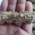 甘肃岷县当归头原色原味，高含量地道货源，原产地精选高品质